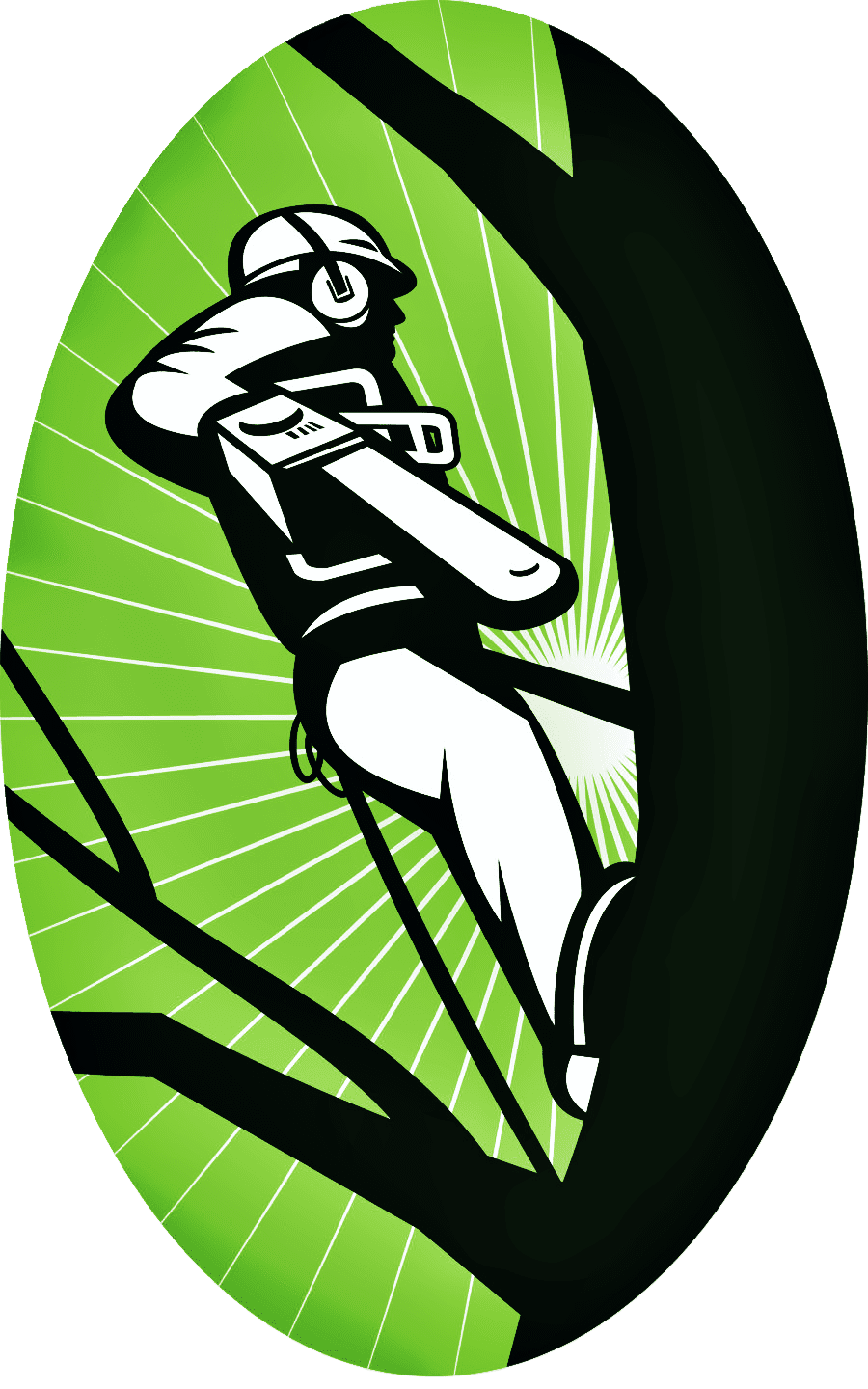 Tree Removal Service Tree Removal Service